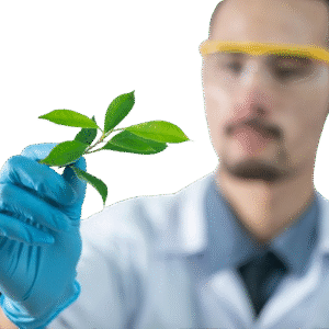 Natural Oil for Baby