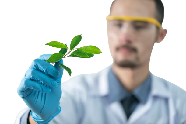 pexels-chokniti-khongchum-1197604-2280551-removebg-preview